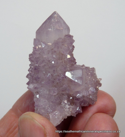 Light amethyst cactus quartz crystal group