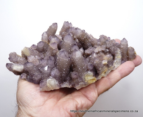 Smoky / amethyst cactus quartz specimen
