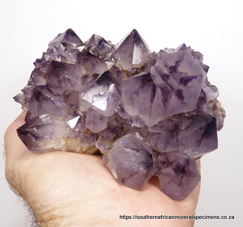 Amethyst quartz crystals