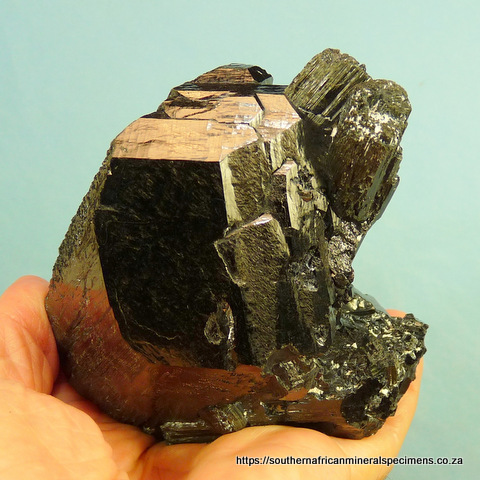 schorl crystals with the biggest one having lovely termination facets.