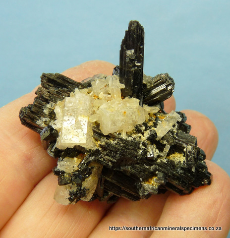 A group of unusually formed schorl crystals (variety foitite) with goshenite crystals.