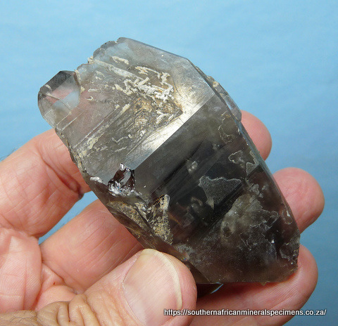 Dark smoky quartz crystal with bits of mica
