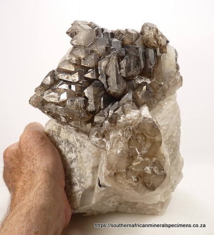 Smoky cathedral quartz with tourmaline, on matrix Smoky cathedral quartz with tourmaline, on matrix