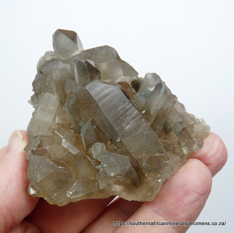 Light smoky quartz crystal group with chlorite inclusions
