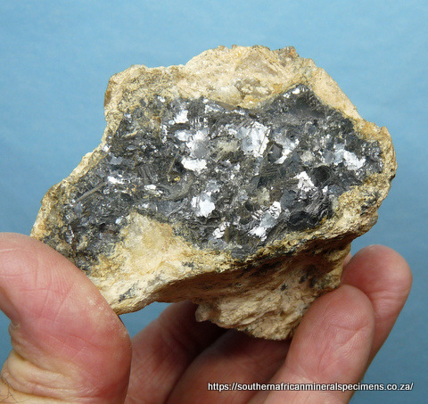 Pyrite sun or miners' dollar