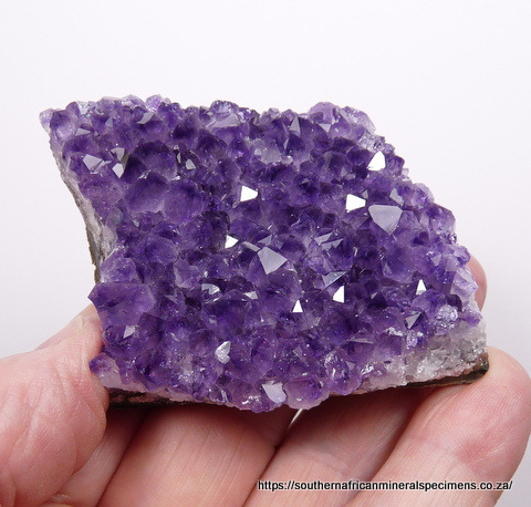 Cluster of amethyst coloured aggregates of botryoidal chalcedony