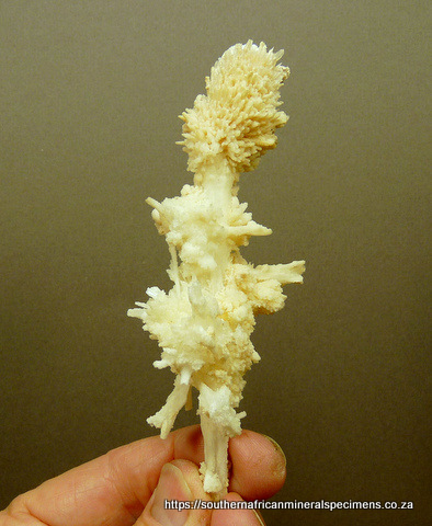 Slender, delicate aragonite specimen