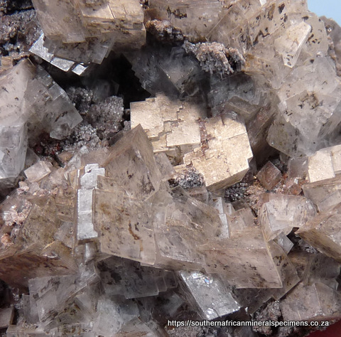 Calcite crystals on matrix, with minute marcasite crystals